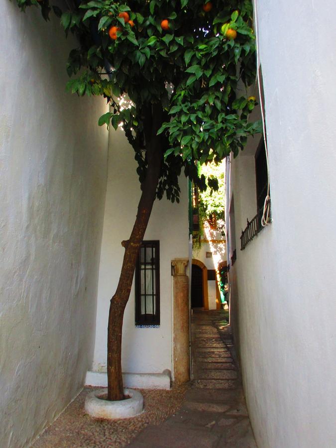Cordoba Con Encanto Lubi I Zewnętrze zdjęcie